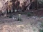 Hundefriedhof im Callenberger Forst