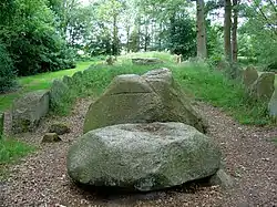 Das Großsteingrab D43 in Emmen