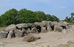 Das Großsteingrab D53 bei Havelte