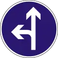 D-4Vorgeschriebene Fahrtrichtung – geradeaus oder links
