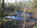 Mündung des Hurlebachs (vorn, von links) in die Oker unterhalb des Sees