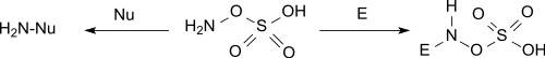 Reaktivität von Hydroxylamine-O-sulfonsäure als Elektrophil und als Nukleophil