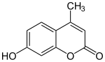 Struktur von Hymecromon
