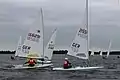 ILCA-7-Feld am Wittensee
