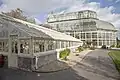 Palmenhaus