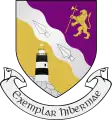 Wappen und Flagge der Grafschaft Wexford