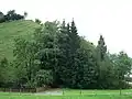 IW Steinbach, Eingang
