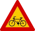 A11.41Radfahrer