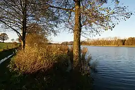 Itzstedter See, das Quellgewässer der Rönne (2010)