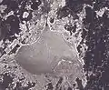 Satellitenbild vom Ilmensee (2019)