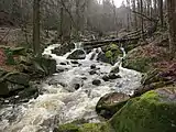 Ilsefälle 2016