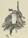 Ilustración de Don Quixote de la Mancha, 1909.