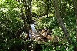… im Mörsbacher Grund (2021)