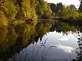 Herbst im Poncetal bei Weismes-Walk