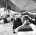 Im Zelt des Scheichs Faisal ibn Jasi, Stamm der Howeitat, Jordanien, 1968.