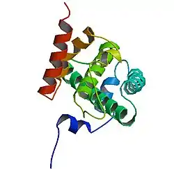 RB-1