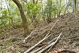Inbe Maeyama Kofun B10, das Inbe hachiman-yama Kofun (井辺八幡山古墳)
