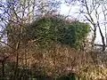 Ruine von Inchbervis Castle