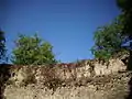 Reste der Cetatea Ika