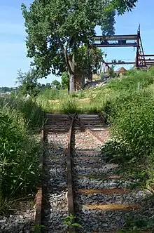Weiche an der ehemaligen Verladeanlage des Betriebs Schauffele, Mai 2011