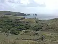 Landschaft auf Muko-jima