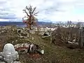 Vordere Ruine Wartenberg, Muttenz, Innenbereich mit Gedenkstein