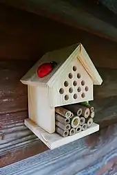 alternative Beschreibung