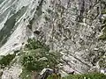 Klettersteig Teil II im Schrofengelände