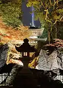 Nächtliche Illumination im Herbst