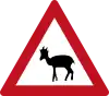 146 A  Steinböcke