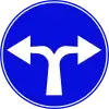 208  Vorgeschriebene Fahrtrichtung – rechts oder links