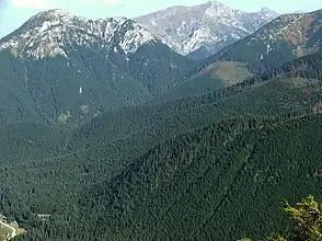 Blick vom Grześ