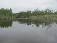 Zufluss