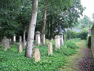 Es sind einige Grabsteine des Jüdischen Friedhofs in Oelde zu sehen.