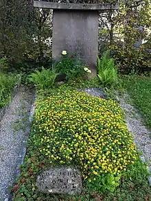 Emma Steffan (1871–1929), Emma Schaub-Währer (1862–1948), Oskar Schaub-de Courten (1891–1968), Alice Schaub-de Courten (1892–1981), Emmy Schaub (1888–1976), Peter Christoph Schaub-Nitzsche (1921–1971), Emil Gysin-Morle (1910–1986), Rosa Gysin-Morl (1909–1987), Jürg Schaub (1934–2009), Grafiker, Werbefachmann. Sabin Annelis. Familiengrab auf dem Wolfgottesacker, Basel
