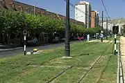 Alicante, hochliegende Rasengleise mit Vignolschienen