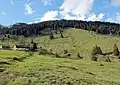 Blick auf Jackelberg Südseite mit Alm