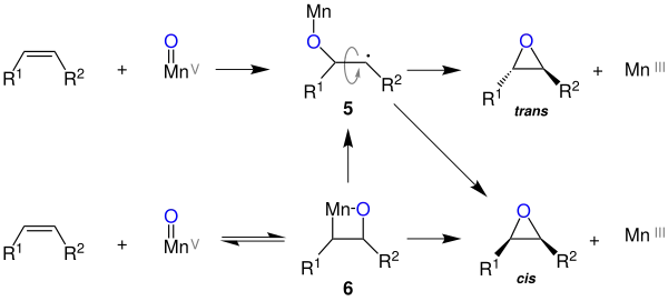 Radikalischer und Mangano-Oxetan Mechanismus der Jacobsen-Epoxidierung
