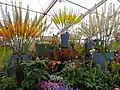 Jacques-Amands-Ausstellung im Blumenzelt