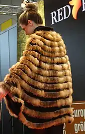 Modellwettbewerb