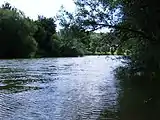 Die Jagst strömt dem Neckar zu. Die letzten Meter ihres 190,2&nbsp;km langen Weges