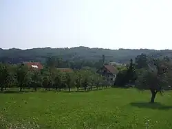 Јаковље