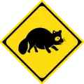 214の2: Wildwechsel (Marderhund)