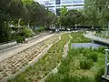 Der Gartenteil der Wellen schlagenden Gräser