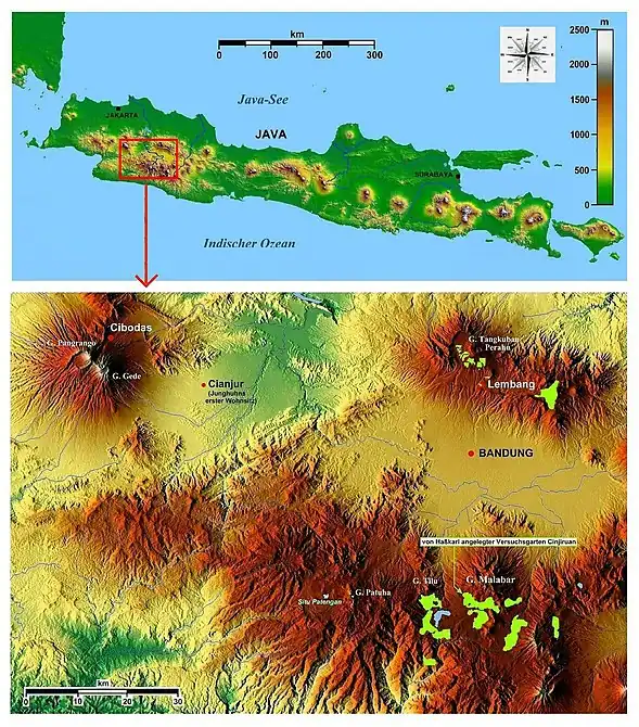 Junghuhns letztes Lebenswerk: Chinchona-Plantagen in Westjava. Die hellgrün eingetragenen Plantagen wurden aus einer 1925 veröffentlichten Touristenkarte übertragen. Die Chinchona-Pflanzungen auf dem Nordosthang des Vulkans Gunung Gedé wurden nach Junghuhns Rückkehr aufgegeben. – Als "krönender Abschluss" eines prachtvollen Ziergartens wurde vor dem Eingang zur Chinchona-Plantage Cinyiruan eine überlebensgroße goldschimmernde Junghuhn-Büste auf einem Marmorsockel errichtet. Auf dem Sockel ist ein Schild mit Erläuterungen über Junghuhn montiert, die jedoch teilweise abgeblättert sind.
