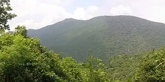 Javadi Hills in Tamil Nadu/Ostghats