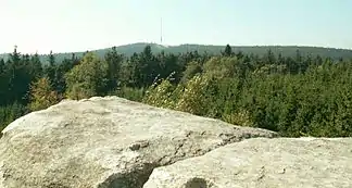Gipfelregion des Jaborschützbergs