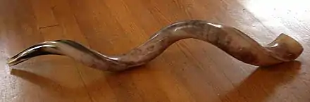 Ein Schofar im jemenitischen Stil