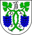 Jenins