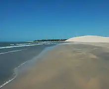 Strand mit Düne